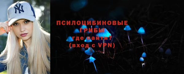 прущий лед Ельня