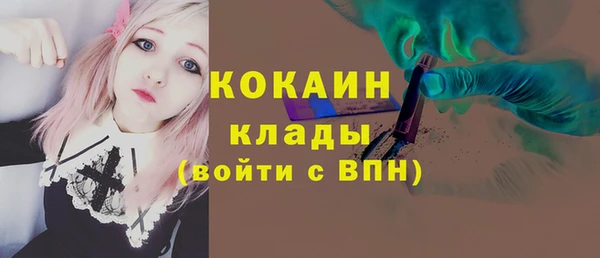 прущий лед Ельня