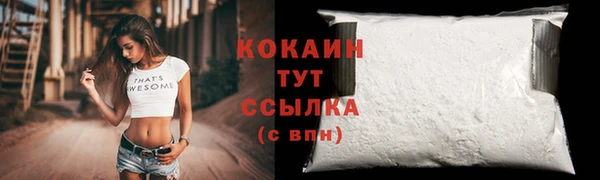 прущий лед Ельня
