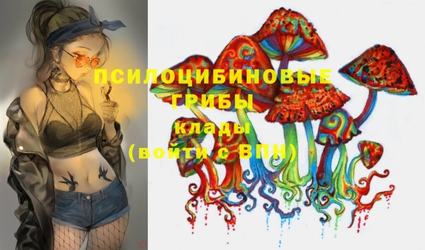 марки lsd Елизово